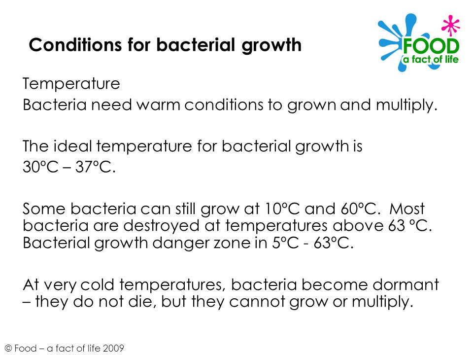 The conditions needed for the growth of micro organisms